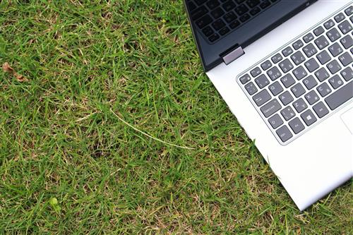 Laptop in grass #4