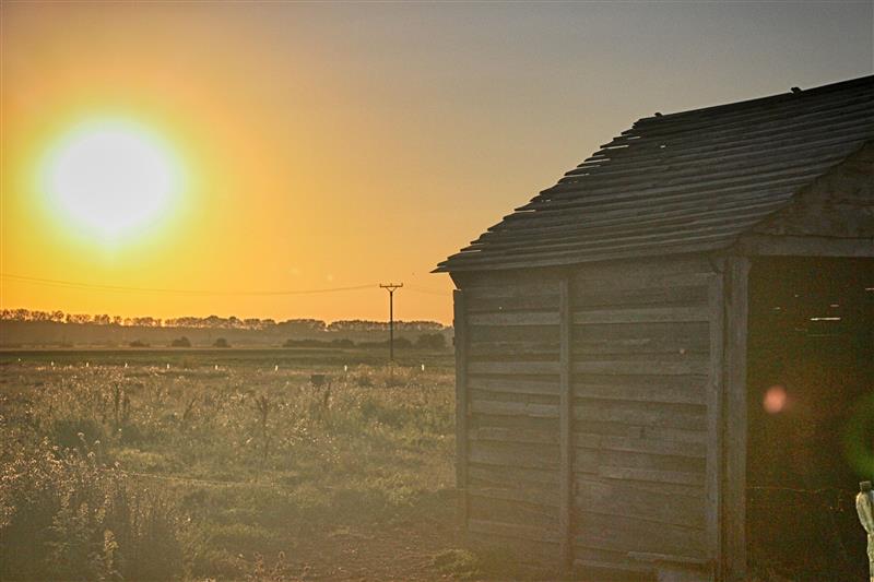 Horse stable at sunset
