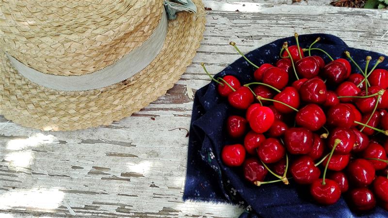 Ripe cherries lying beside a straw hat