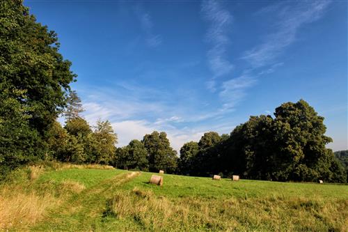 Grassy meadow with haystacks blue sky
