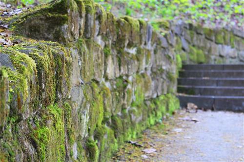 Stone wall covered with moss